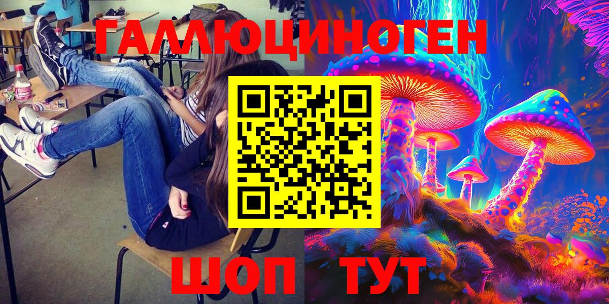 Псилоцибиновые грибы Psilocybe  Вход с VPN  Гудермес 